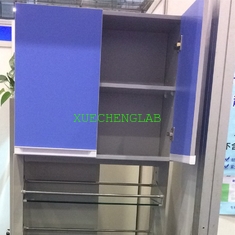 China All Wood Lab Hanging Cupboard Wooden Wall Mounted Cabinet for Hospital School Institue Office Home Use supplier